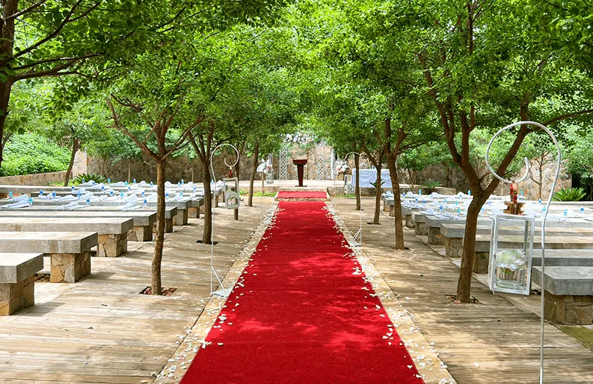 A red carpet aisle running between the trees of the Forest Chapel at Usambara Venue